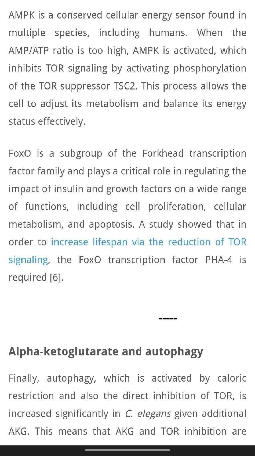 Calcium Alpha-ketogluterate (Ca-AKG) 30g 100% PURE! 4 months + supply π¦πΊ